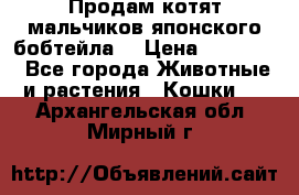 Продам котят мальчиков японского бобтейла. › Цена ­ 30 000 - Все города Животные и растения » Кошки   . Архангельская обл.,Мирный г.